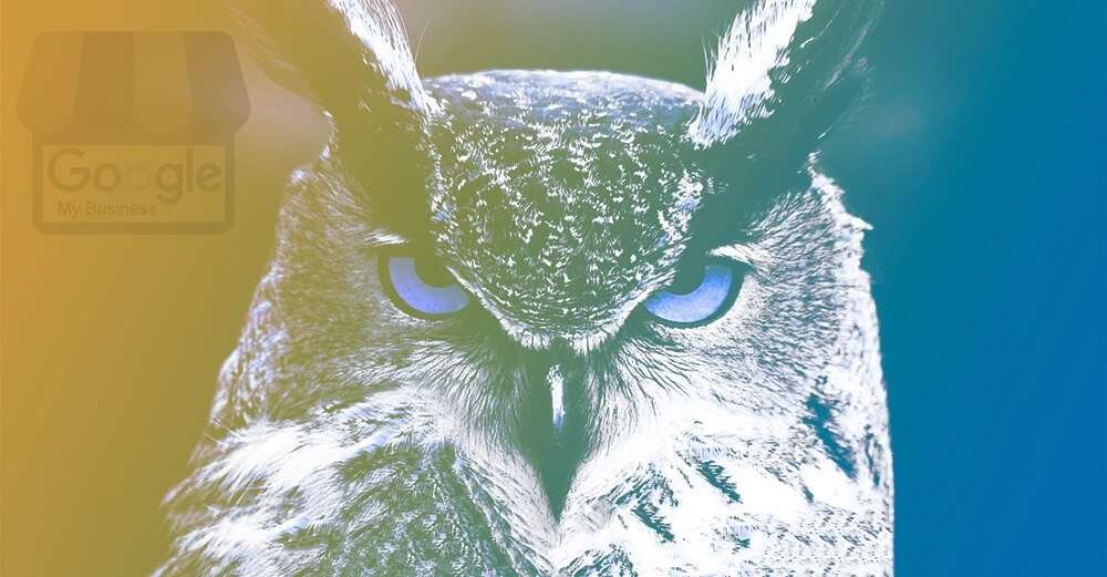 Zašto Vam je važan Google My Business